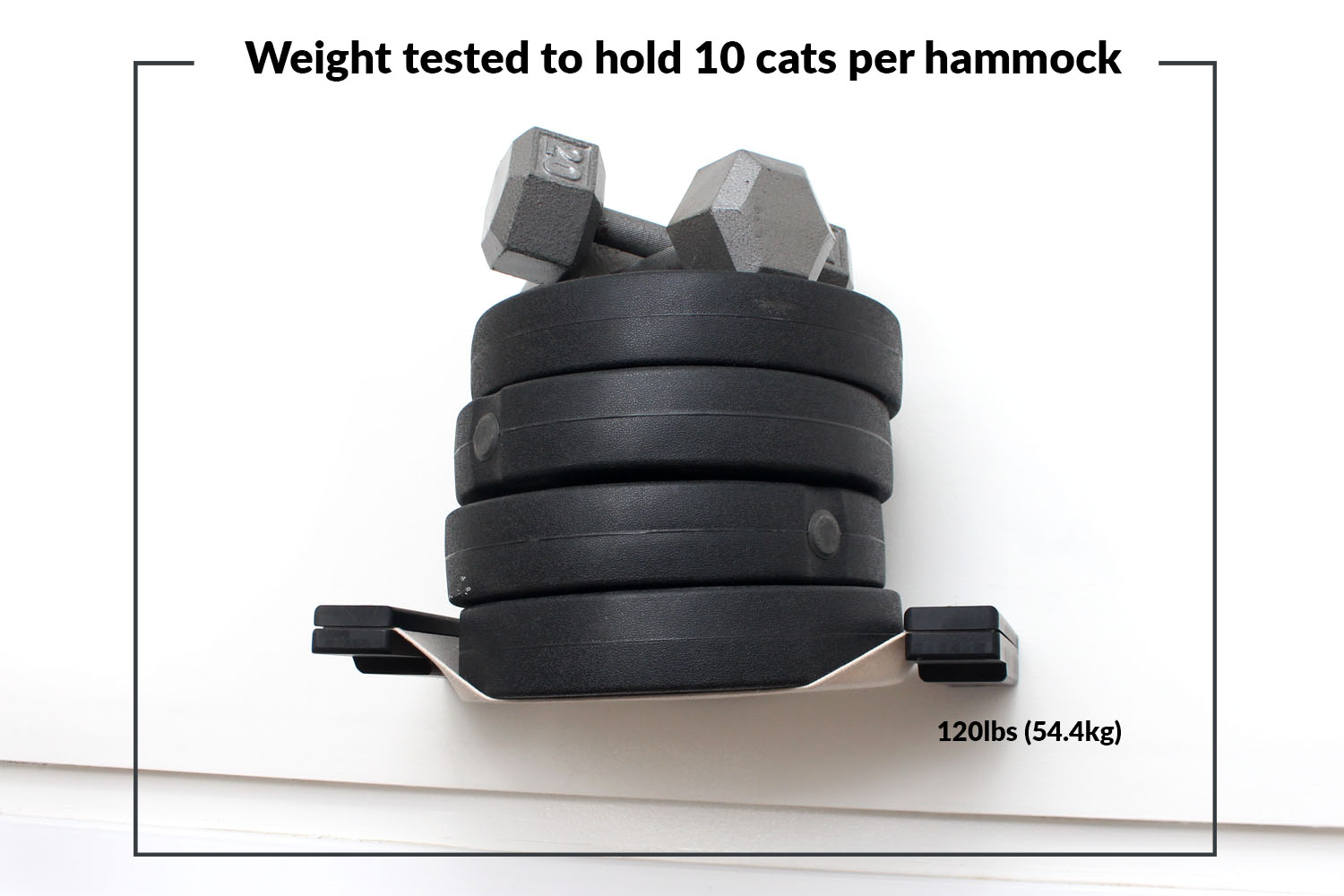 Wall Feeder Cat Hammock : Raised Cat Feeder - by Catastrophic Creations